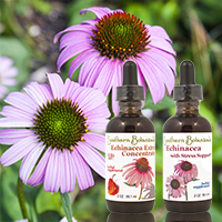 Echinacea herbal tinctures