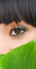 Eyes Behind Tropical Leaf