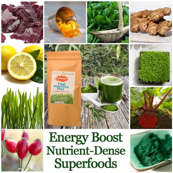 Vital Nutrition Plus superfood ingredients