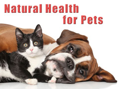 Pet Health Category