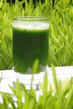 Green Juice