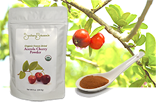 Frezze-Dried Acerola Chery Powder - Superior source of natural Vitamin C!