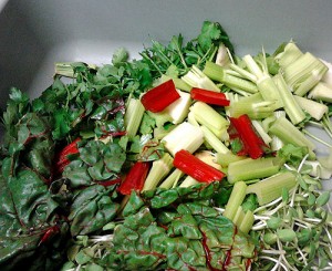 Vegetables ready to juice