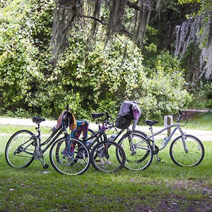 BIKES RAINBOW RIVER CROP