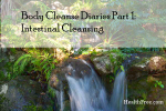 Body Cleanse Diaries Part 1 Intestinal Cleanse Intestinal Cleansing