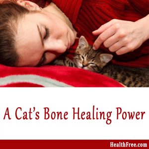 cat's bone healing power