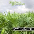 Saw palmetto