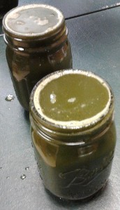 Green juice freshly made Green juice freshly made