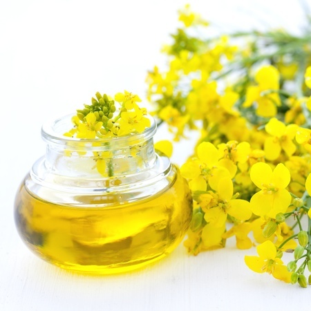 9745057 - fresh rapeseed oil in a bottle