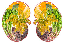kidney-with-herbs