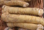 Fresh raw horseradish root