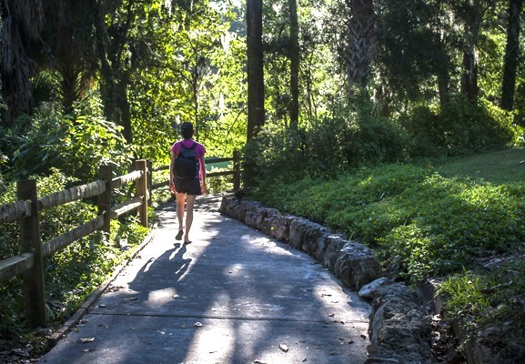 Woman walks alone on a lovely forest trail