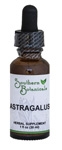 Astragalus 1 oz