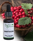 Hawthorn 1 oz