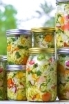 Fermenting Probiotics Home DIY Supplies